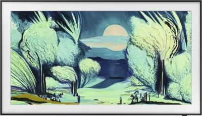 Samsung F-QE50LS03FAUX