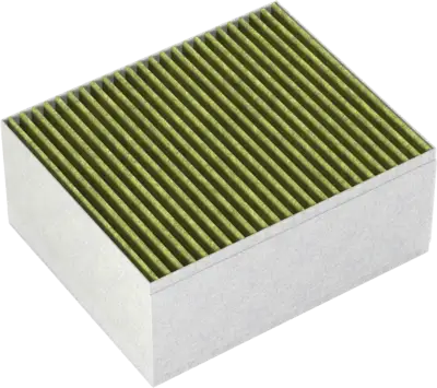 Siemens LZ31XXB16 cleanAir Plus AntiAllergeen/AntiFish filter wand